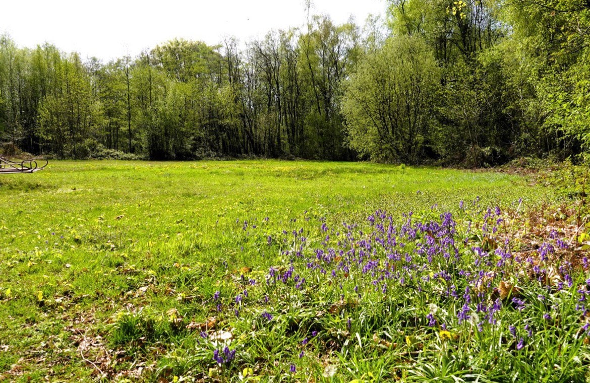 Recherché: terrain de loisirs >5000 m² région de Malines, Immo, Terrains & Terrains à bâtir