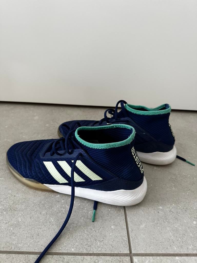 Zaalvoetbal schoenen Adidas Predator, Sport en Fitness, Voetbal, Ophalen, Gebruikt, Schoenen
