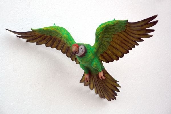Papegaai beeld 73 cm - papegaaibeeld