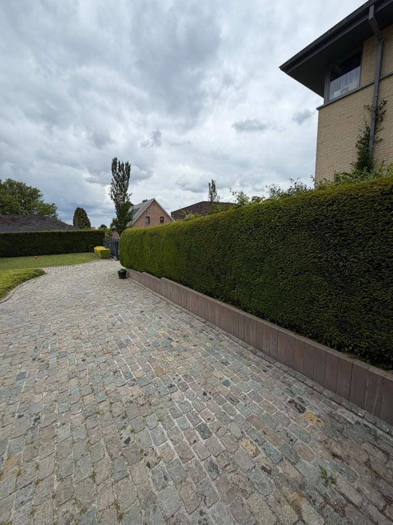 Service de jardinage – Tonte & taille de haies, Enlèvement