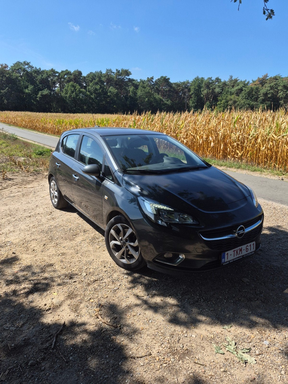 Opel Corsa e 2017, Autos, Achat, Euro 6, Volant multifonction, 5 portes