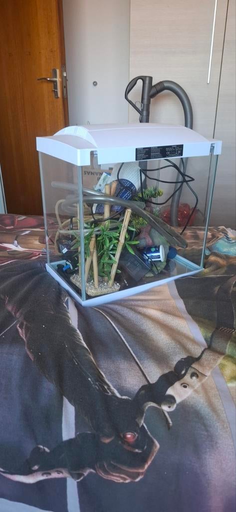 Visbak plus alle alle toebehoren, Dieren en Toebehoren, Vissen | Aquaria en Toebehoren, Ophalen, Pomp, Decoratie