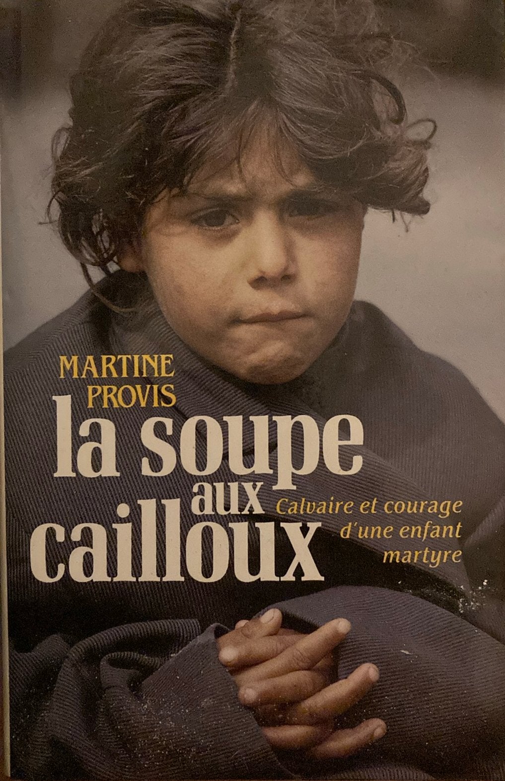 Martine provis la soupe aux cailloux, Enlèvement ou Envoi, Comme neuf