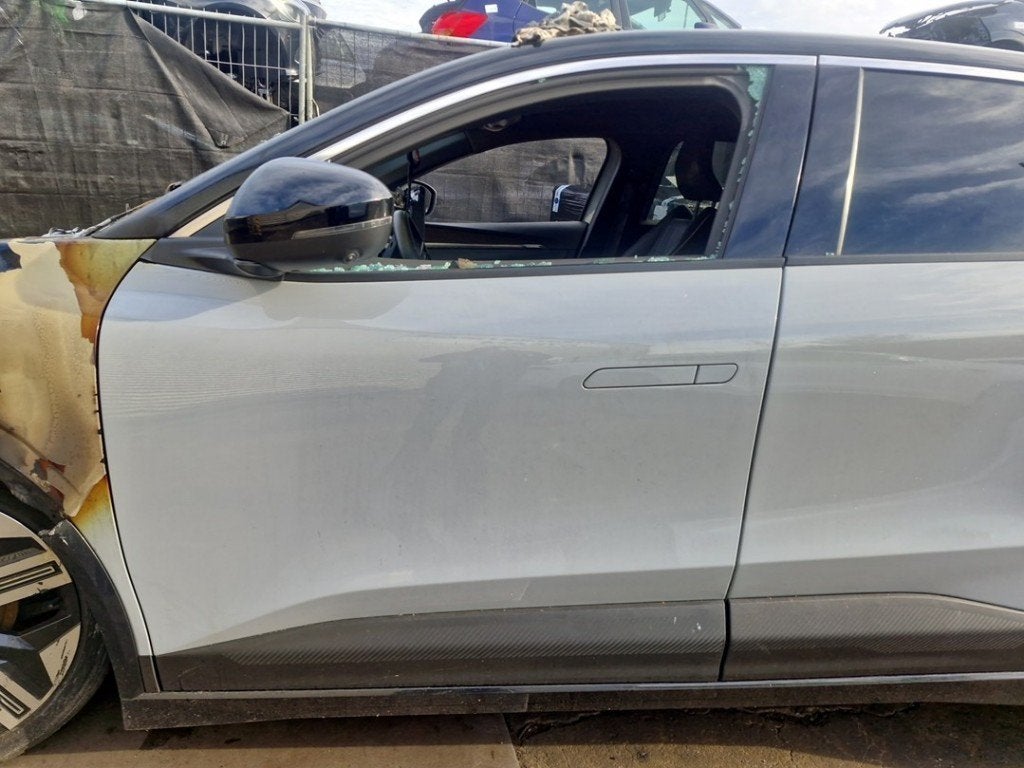 PORTE AVANT GAUCHE Renault Megane E-Tech (RCB) (01-2021/-), Renault, Utilisé, Peter-Huppertz-Straße 5
51063  Köln, DE, Porte