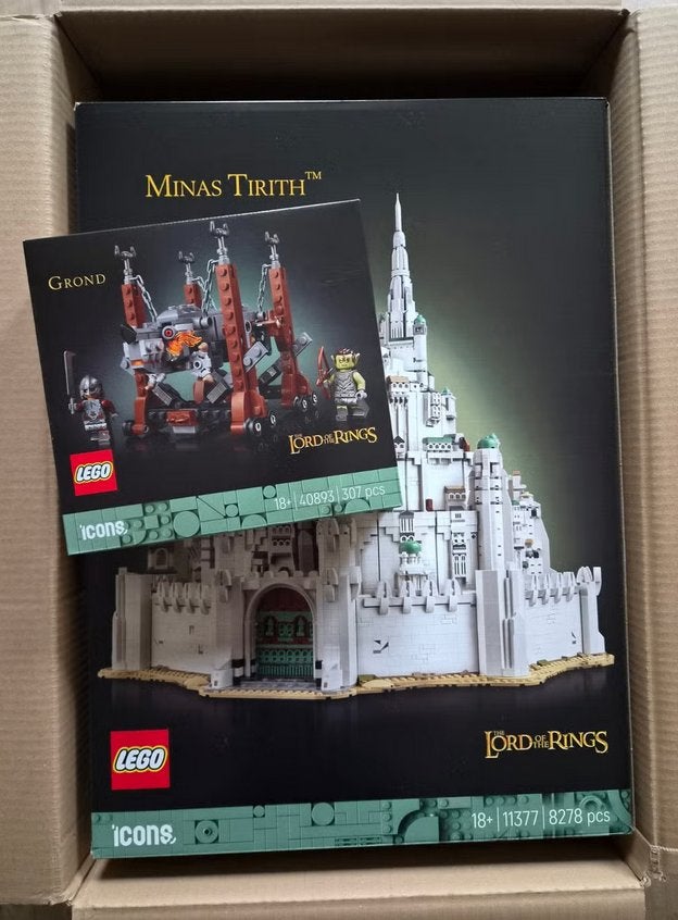LEGO 11377 Lord of the Rings en LEGO GWP 40893 - Grond, Ophalen, Overige thema's, Compleet, Lego