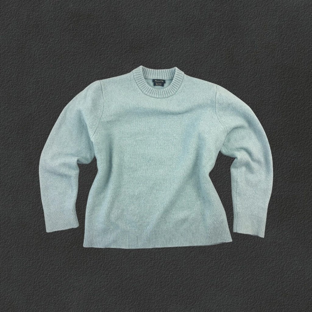 (1071) Light Blue Massimo Dutti Turtleneck - Women XS, Vêtements | Femmes, Massimo Dutti, Comme neuf, Taille 34 (XS) ou plus petite