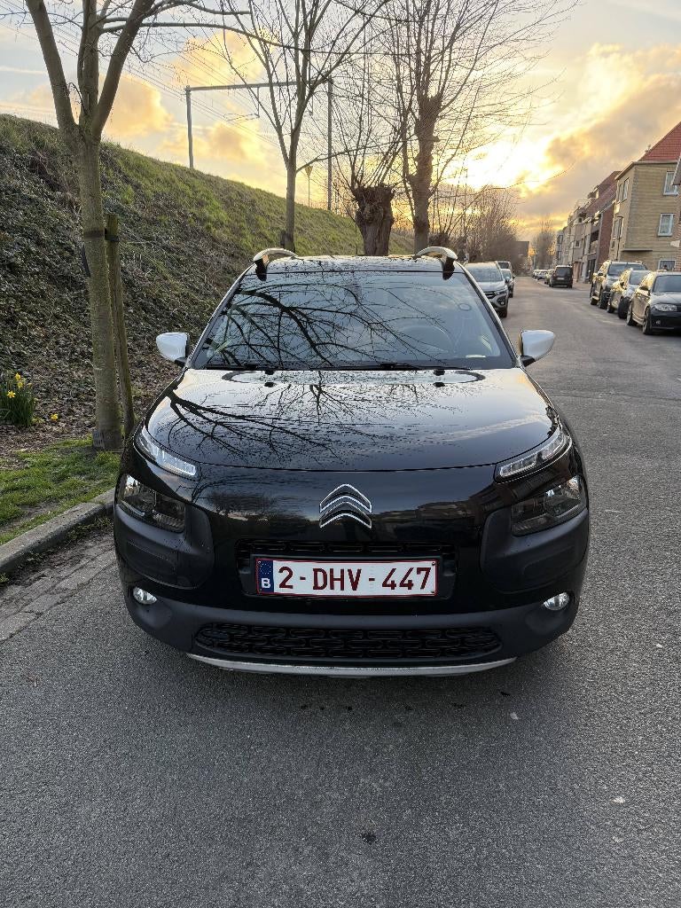 Citroën C4 Cactus - Rip Curl Special Edition, Auto's, Citroën, Voorwielaandrijving, 1145 kg, 4 cilinders, Leder en Stof