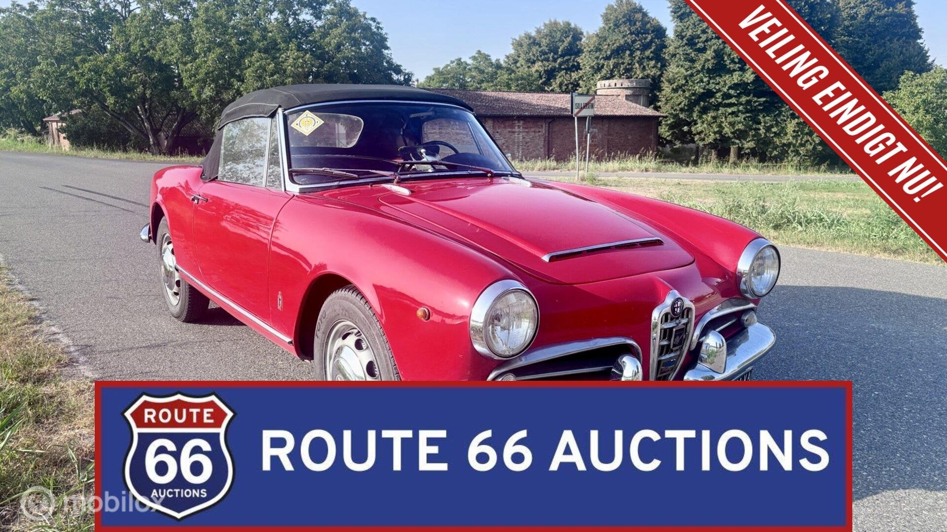 Alfa Romeo Giulia Spider | 1962 | Route 66 Auctions, Auto's, Zwart, Bedrijf, Handgeschakeld, Overige carrosserie