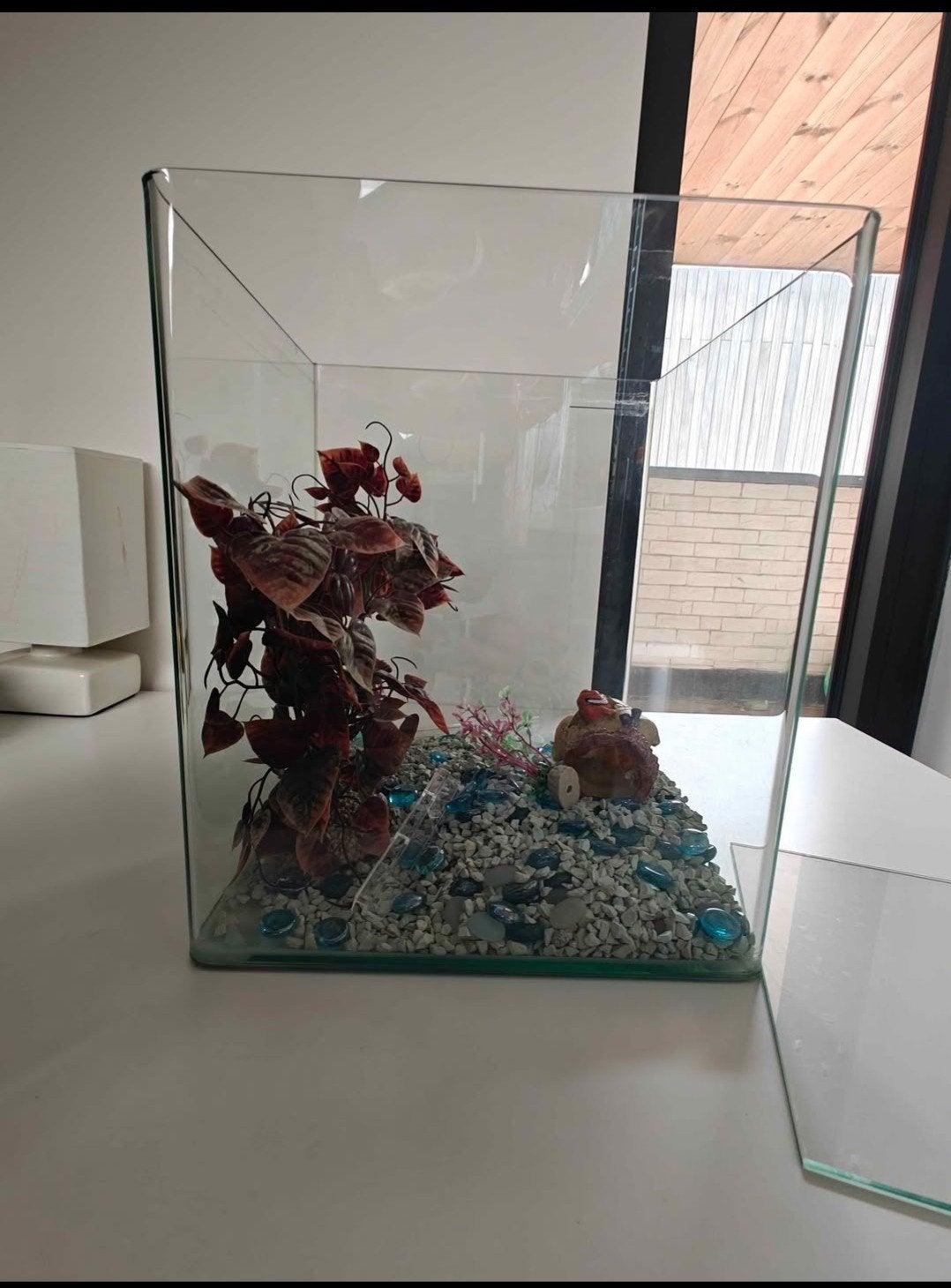 Aquarium met steentjes, plantjes en 1  beeldje, Enlèvement, Couvercle inclus, Comme neuf