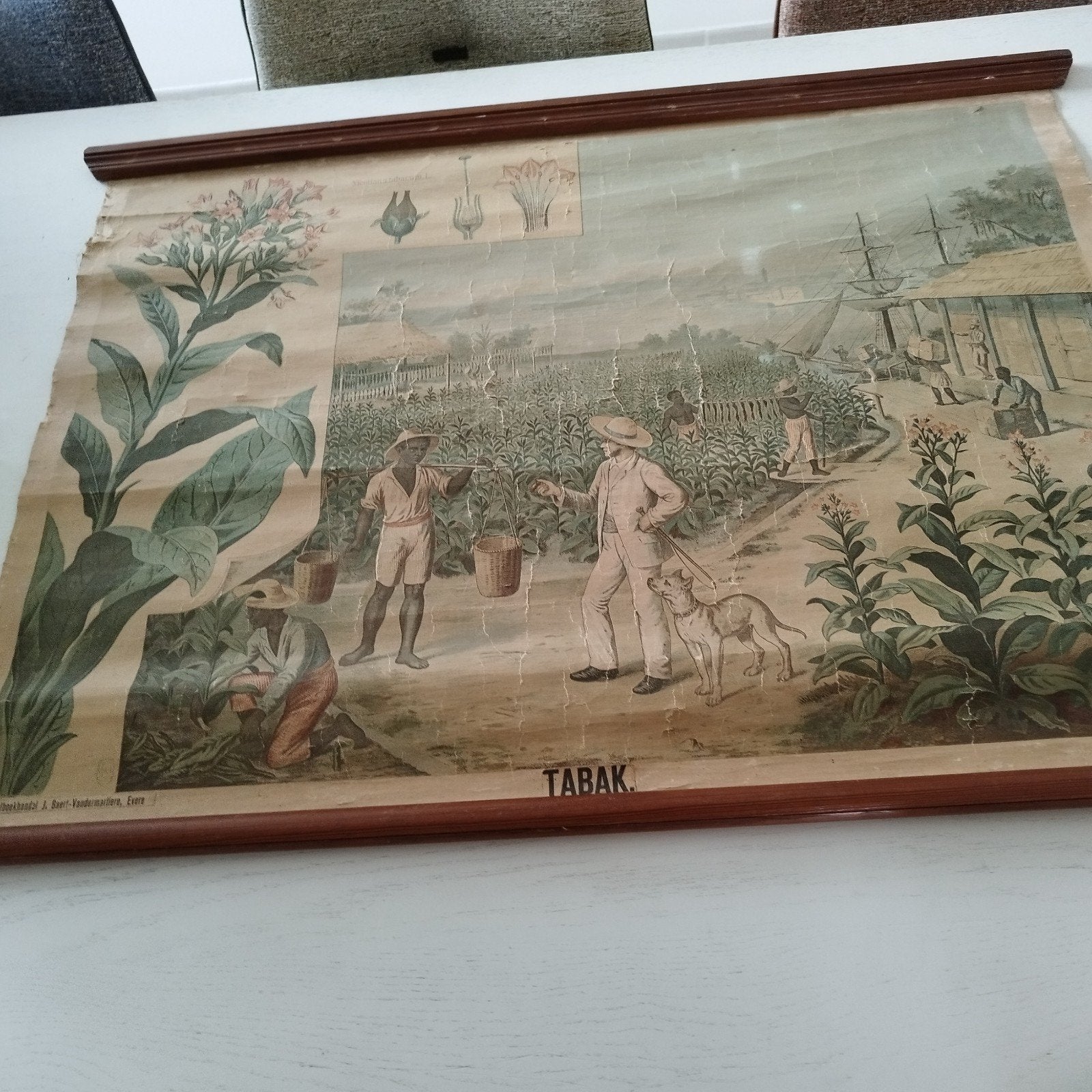 3 Vintage lithografieen., Ophalen