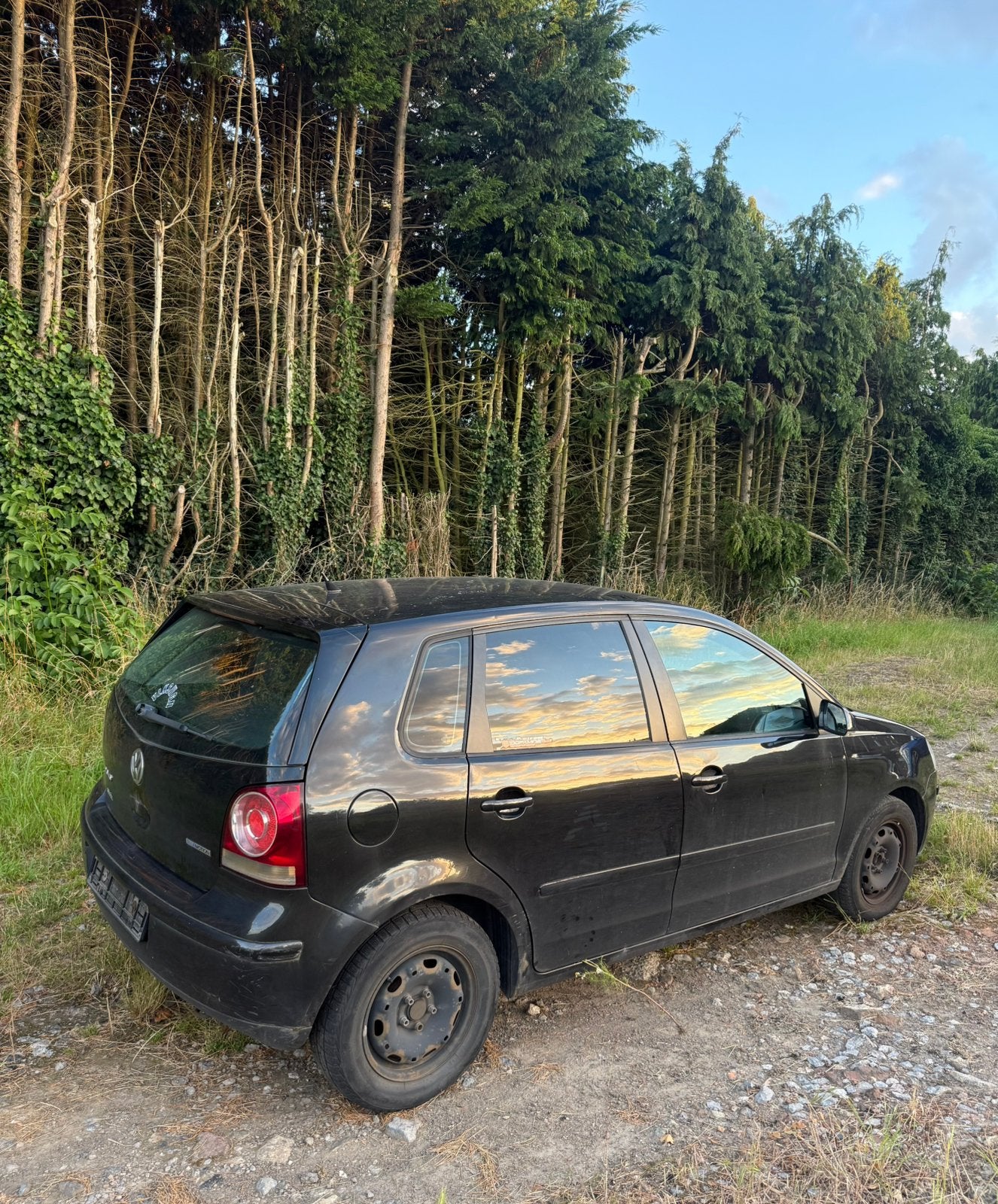 Zwembad 93 m, Auto's, Diesel, Particulier, Te koop, Polo