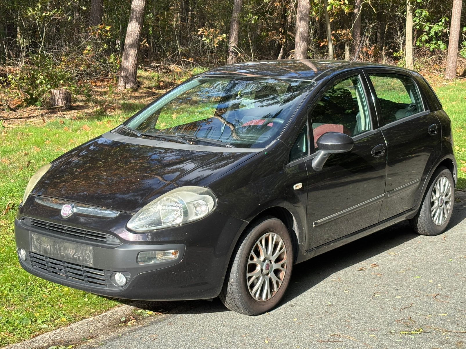 Fiat Punto Evo 1.3 diesel. In mooie staat. Rijdt goed!, Autos, Achat, Boîte manuelle, 1209 kg, Noir