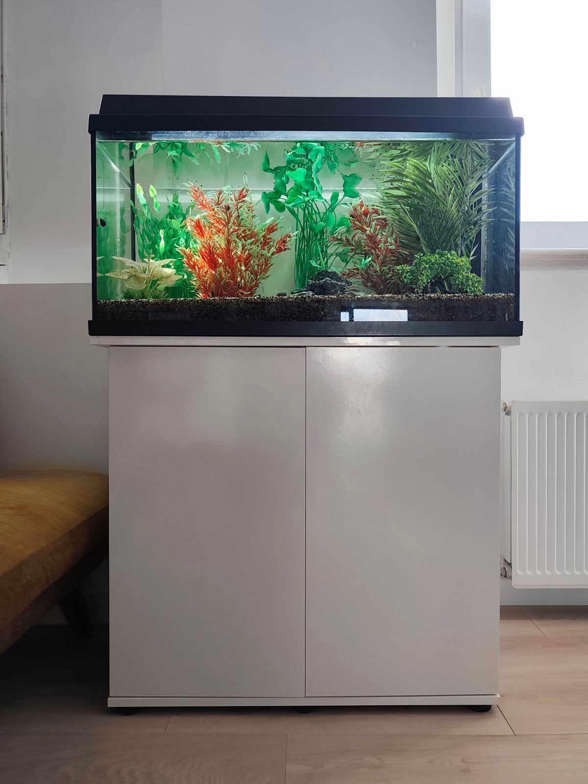 Juwel primo aquarium + kast, Ophalen, Pomp, Juwel