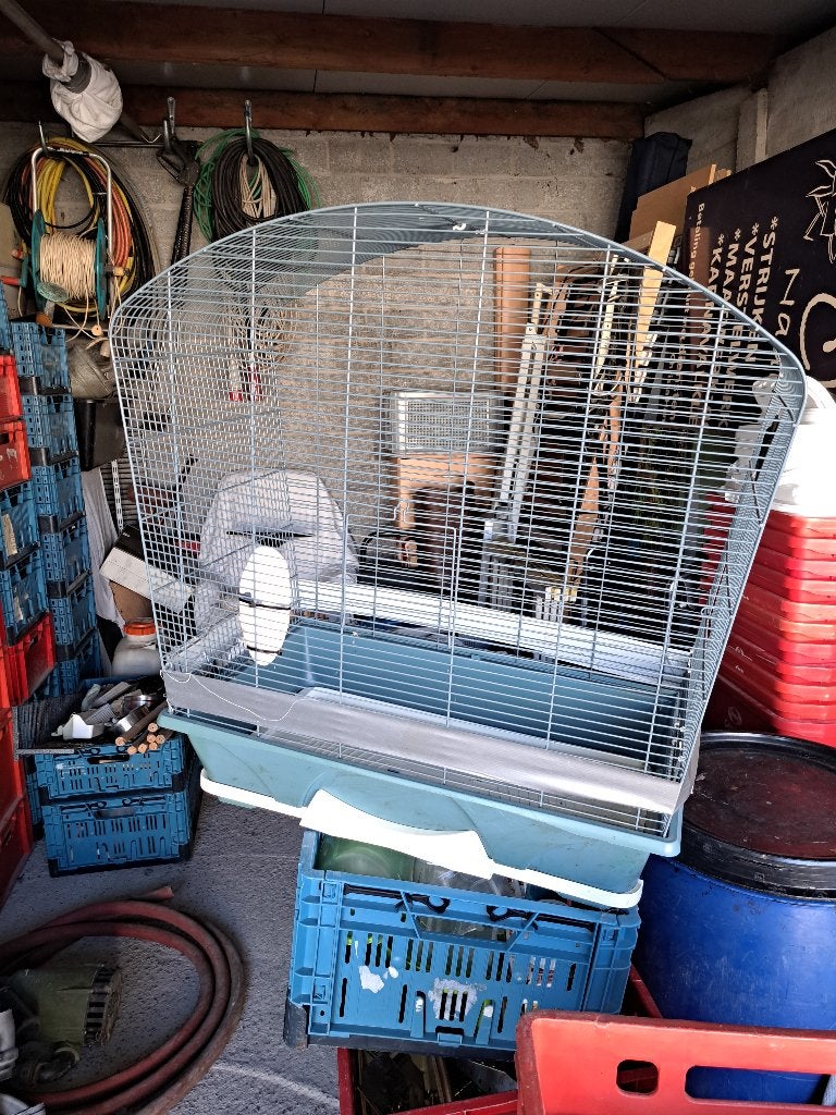 Vogelkooi met alles erbij, Dieren en Toebehoren, Ophalen, Gebruikt, Metaal, Vogelkooi