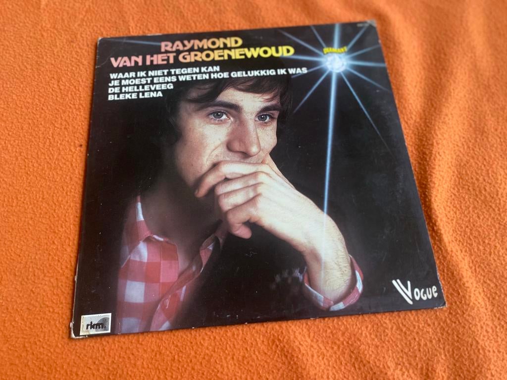 Raymond van het Groenewoud, Cd's en Dvd's, Vinyl | Nederlandstalig, Ophalen of Verzenden, Zo goed als nieuw