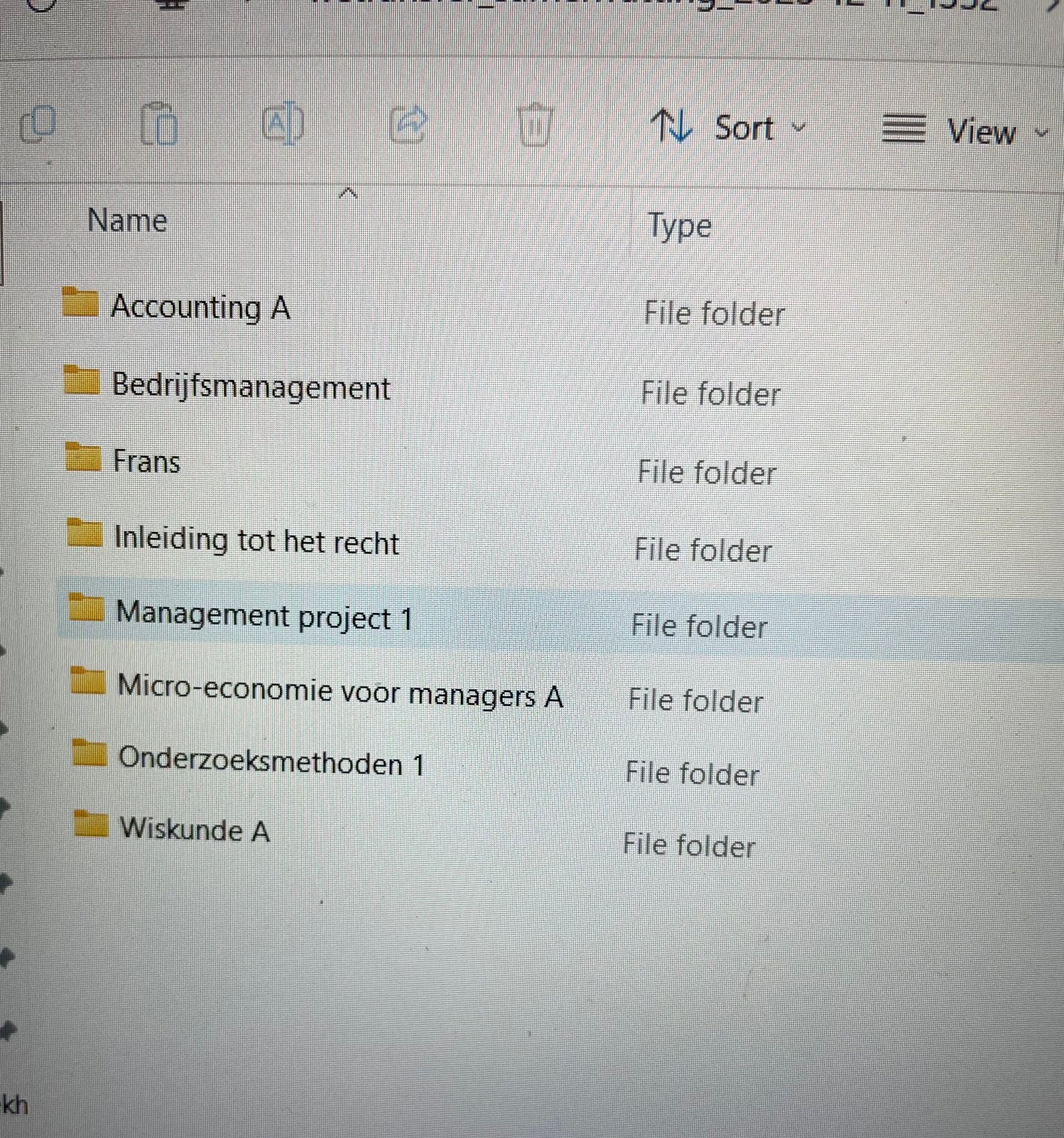 Alle samenvattingen handelswetenschappen jaar 1, Computers en Software, Ophalen of Verzenden, Zo goed als nieuw