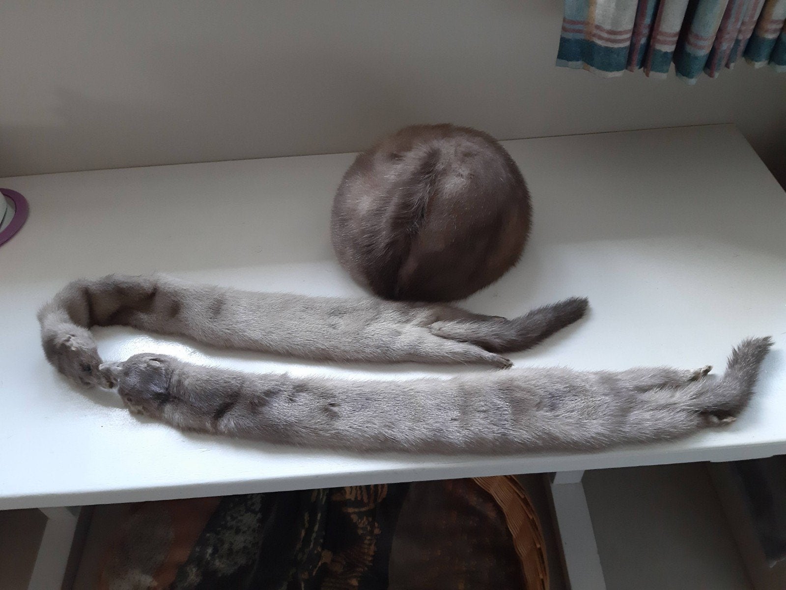 2 nerts hoeden en sjaaltjes, Kleding | Dames, Ophalen of Verzenden, Sjaal