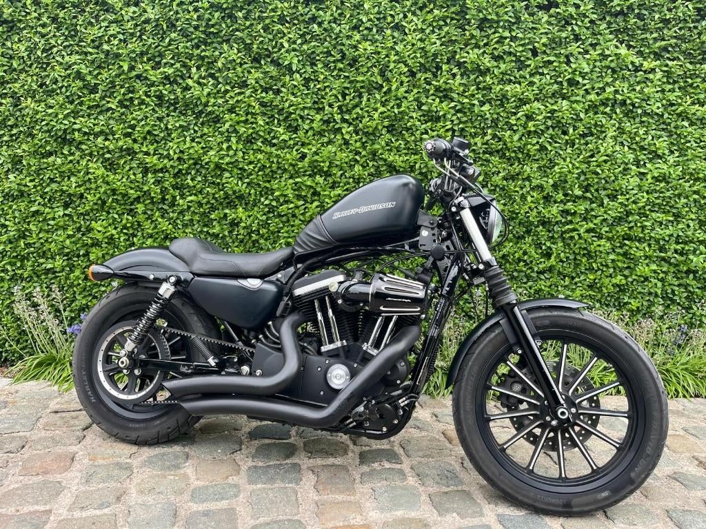 Harley Davidson sportster xl 883 iron, Motoren, Chopper, 883 cc, Particulier, Meer dan 35 kW