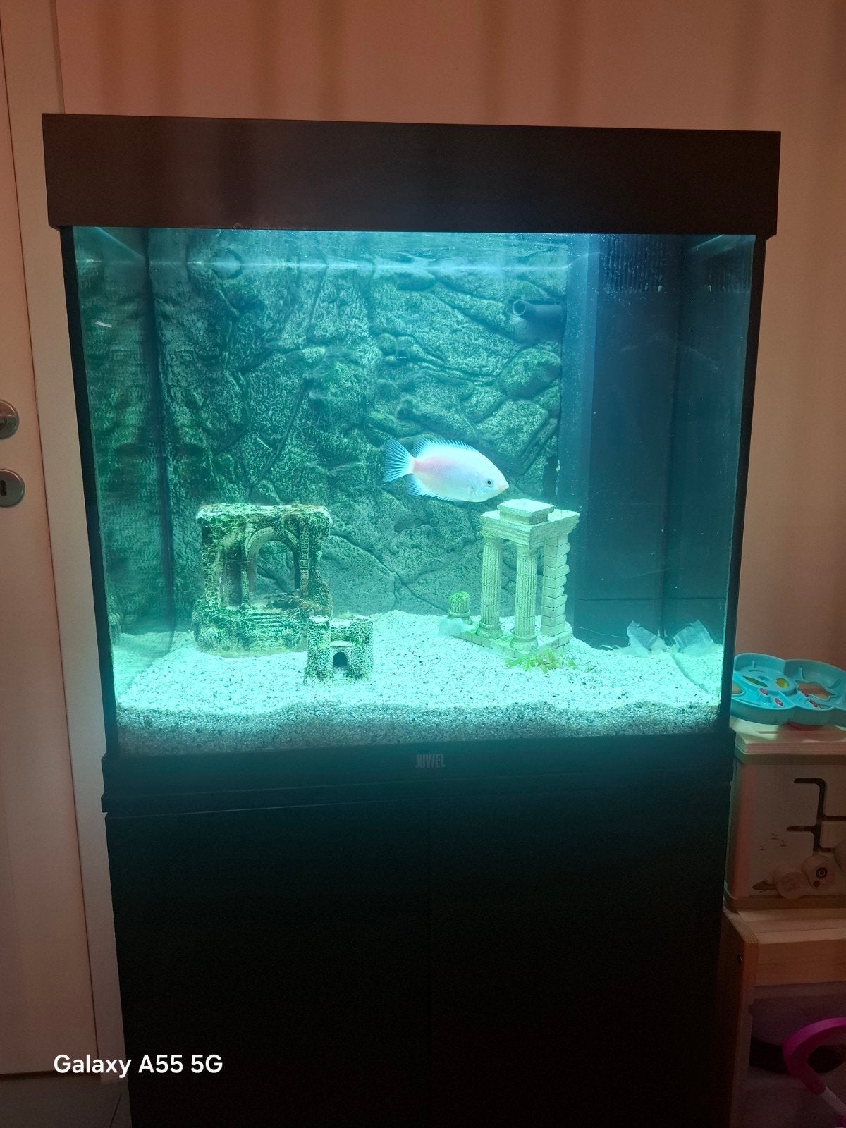 JUWEL aquarium 120L compleet met onderkast + accessoires, Animaux & Accessoires, Decoratie, Enlèvement, Utilisé, Chauffage