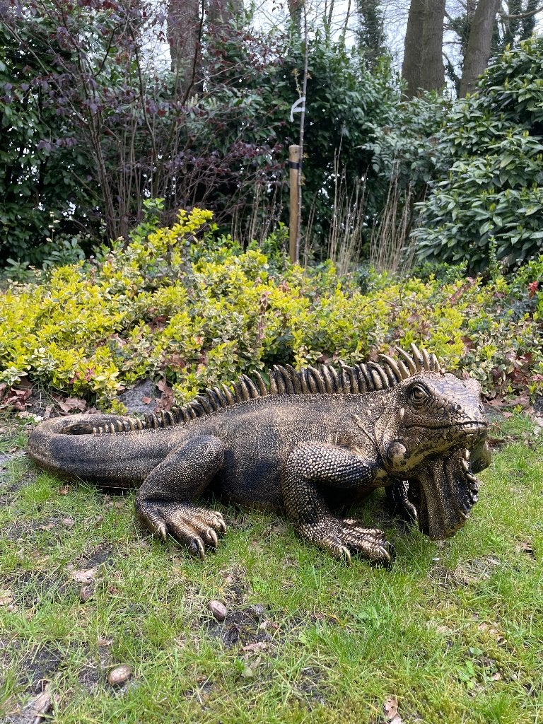 Leguaan, Goud, tuin, zwembad, vijver, salamander 100cm, Tuin en Terras, Tuinbeelden, Ophalen, Nieuw, Kunststof, Dierenbeeld