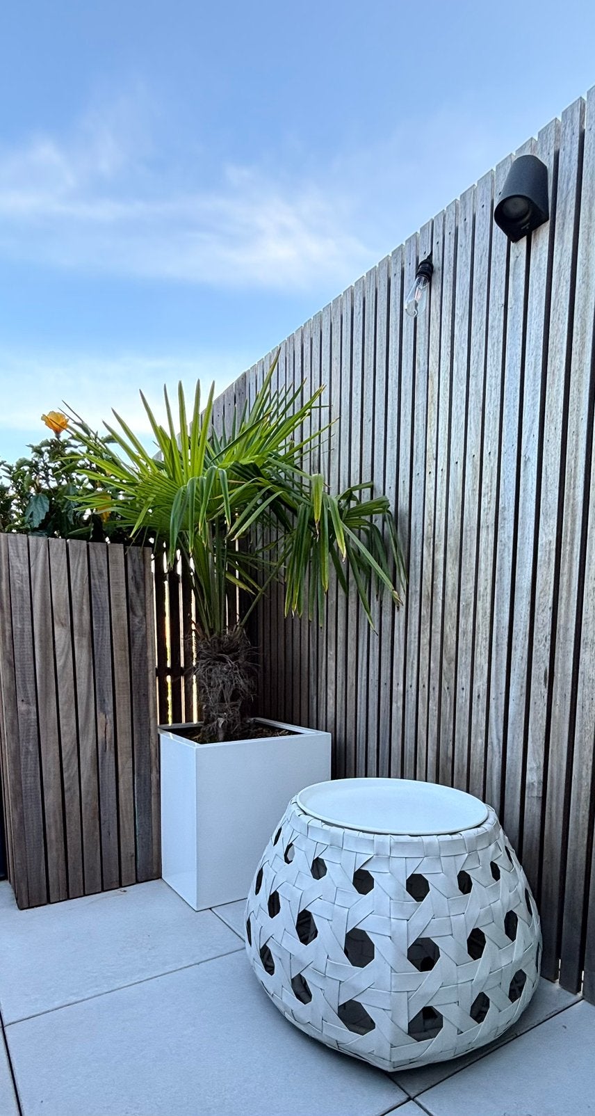 B&B Italia design, Enlèvement, Table