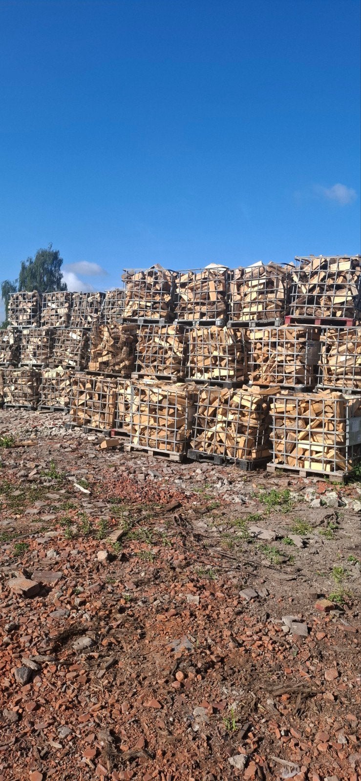 Bois de chauffage frêne hêtre, Hêtre