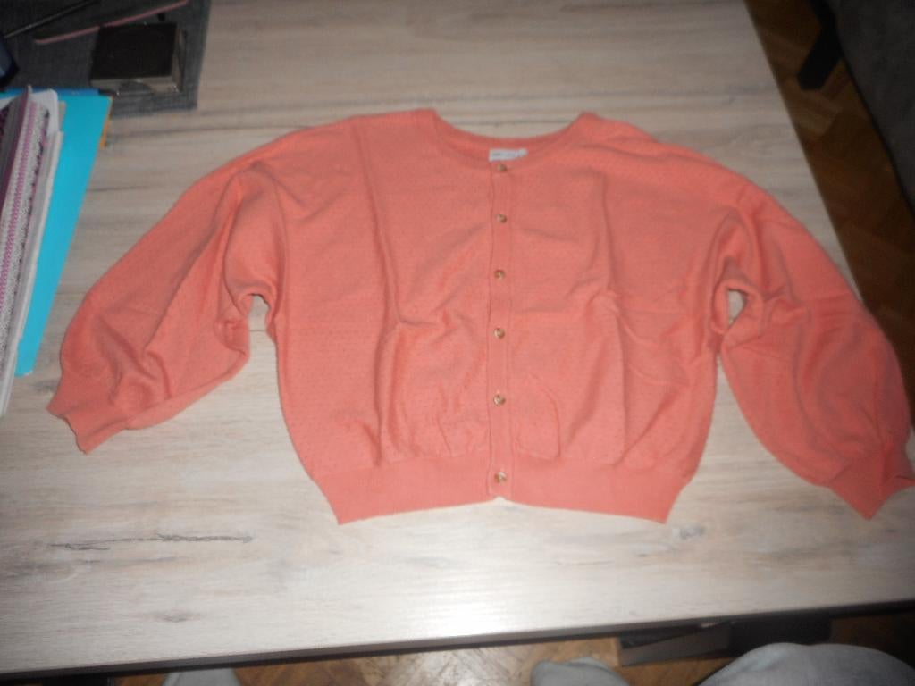 oranje roos cardigan maat 134, Enfants & Bébés, Vêtements enfant | Taille 134, Enlèvement ou Envoi, Comme neuf, Fille, Pull ou Veste