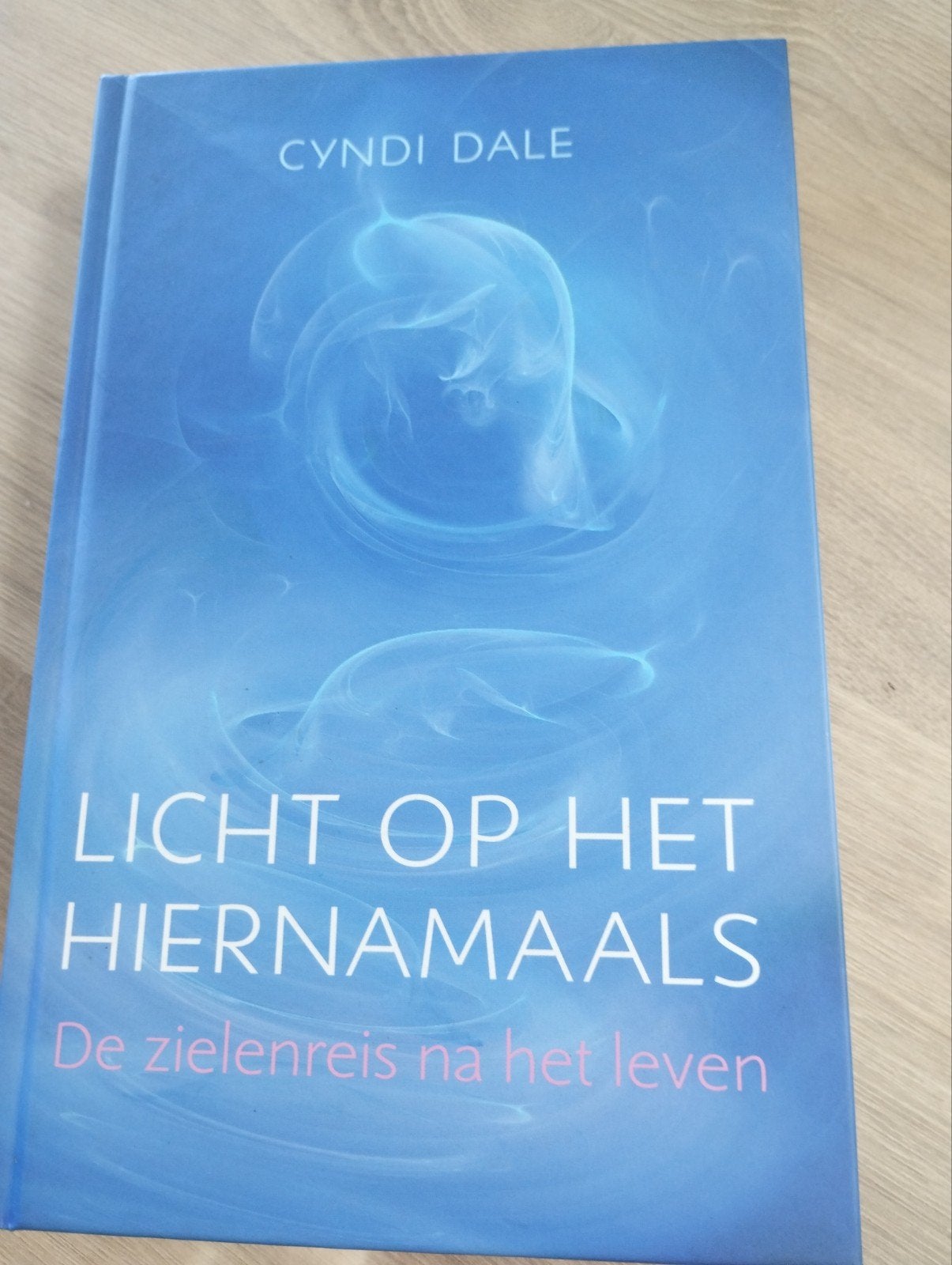 Cyndi Dale - Licht op het hiernamaals, Neuf, Cyndi Dale, Enlèvement, Spiritualité en général