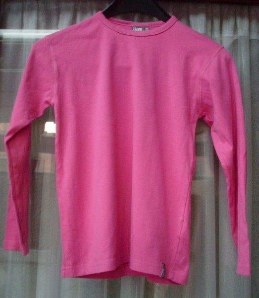 Truitje van WE maat 146-152, Kinderen en Baby's, Kinderkleding | Maat 152, Gebruikt, Jongen of Meisje, Shirt of Longsleeve, Ophalen of Verzenden