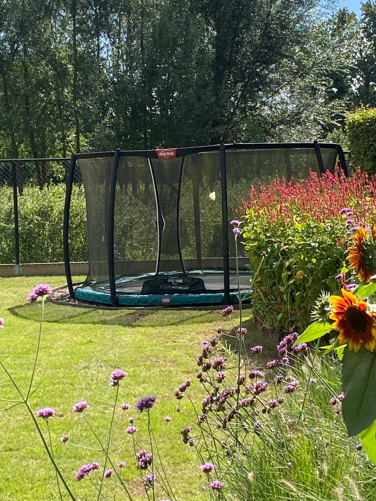 Berg inground champion 380 met deluxenet, Ophalen, Gebruikt