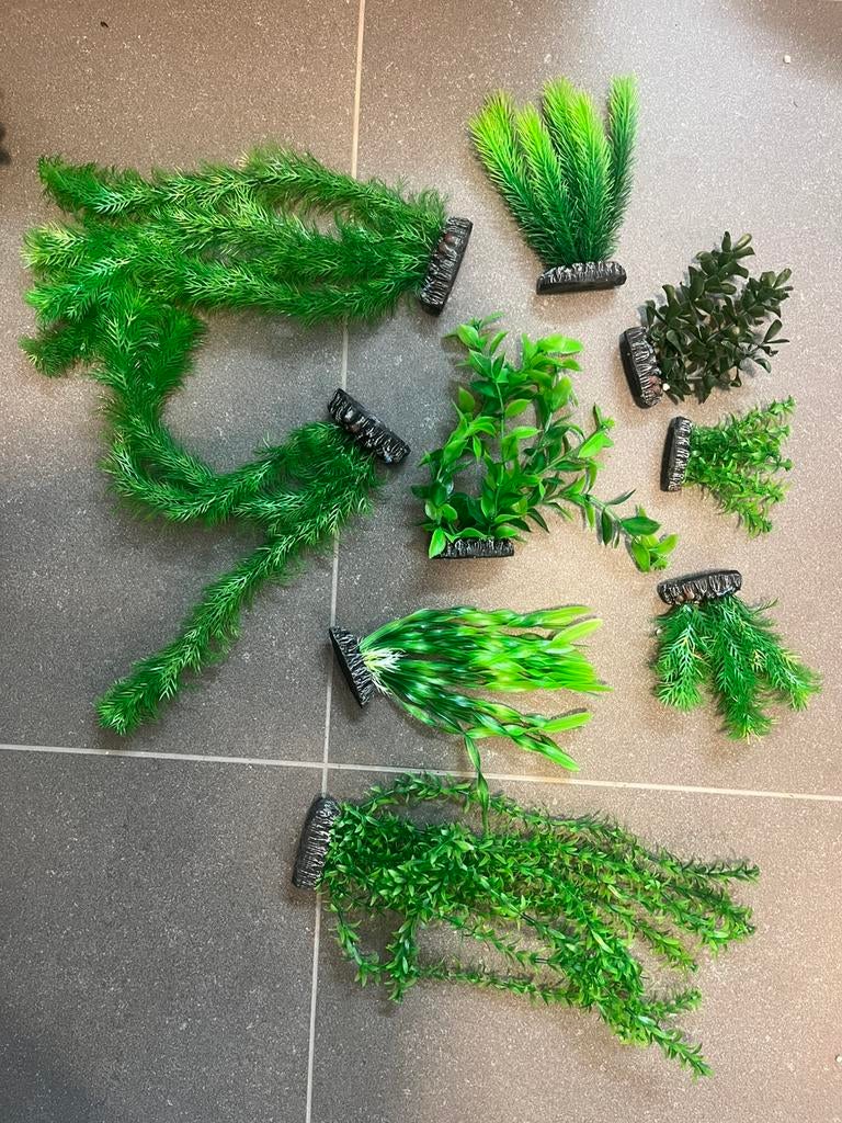 Aquarium nep planten, Dieren en Toebehoren, Vissen | Aquaria en Toebehoren, Ophalen, Nieuw, Plant(en), Steen of Hout