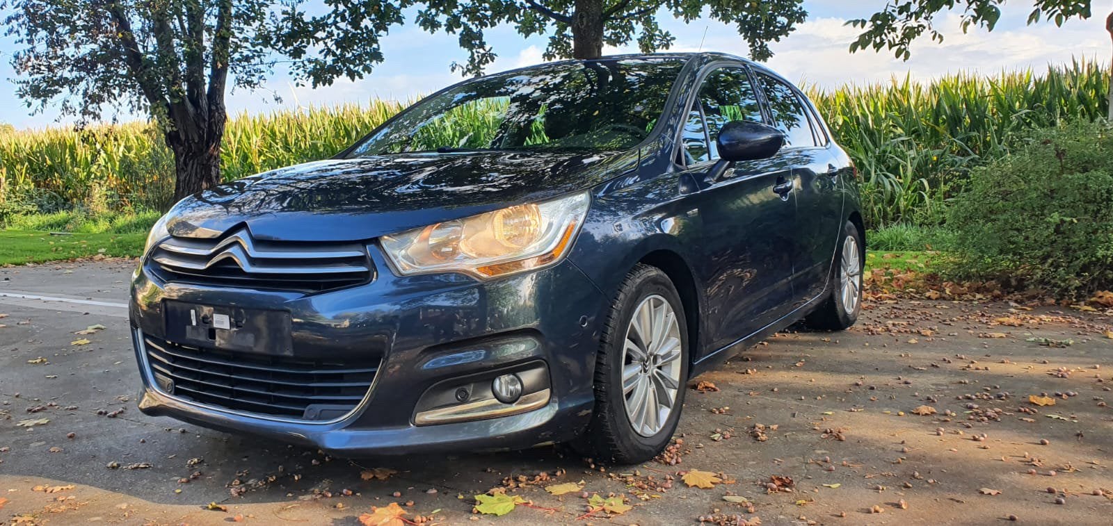 Citroen C4, Autos, Citroën, Euro 5, Achat, Noir, 5 portes