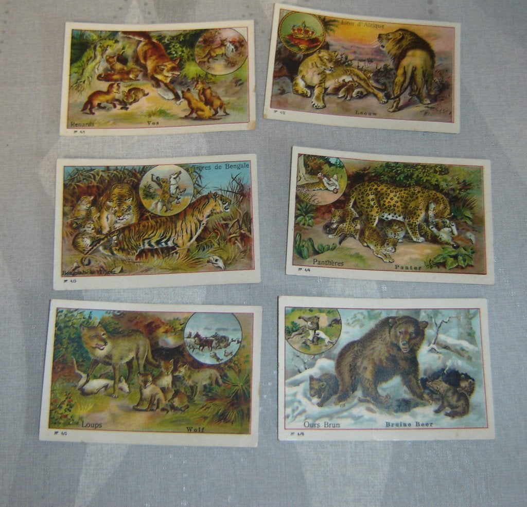 Margarine Chromos ERA Série 4, Collections, Avant 1940, Gravure, Utilisé, Autres sujets/thèmes