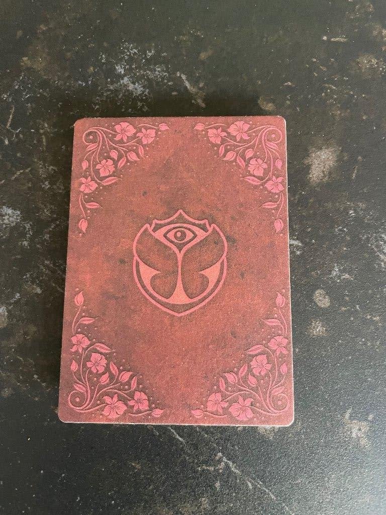 Tomorrowland the book of wisdom the return