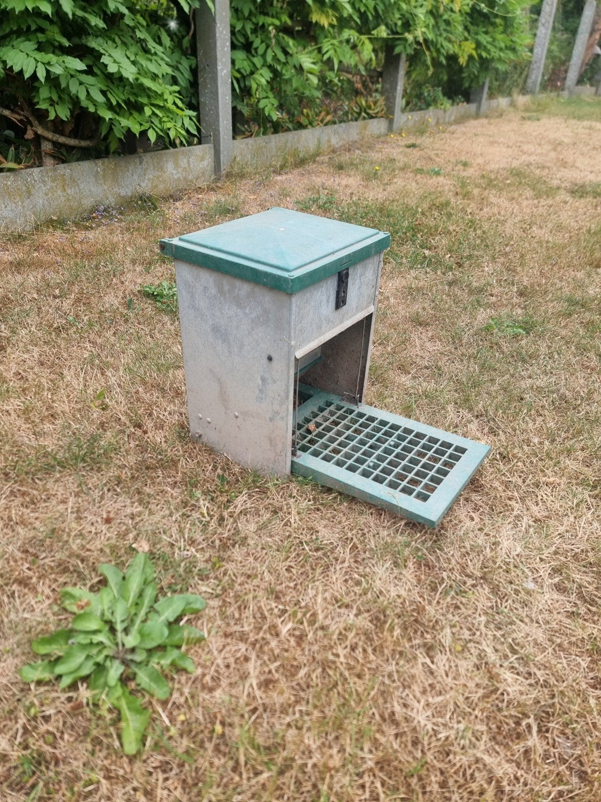 voeder trapbak kippen feed-o-matic, Ophalen, Gebruikt, Drinken en Voederen