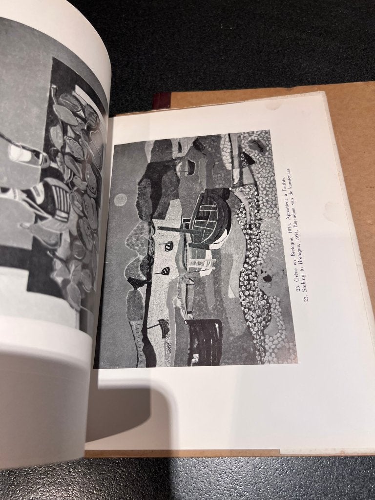 2 monografieen over Belgische Kunst: Gustave Camus / Rene Gu, Ophalen of Verzenden, Gelezen, Schilder- en Tekenkunst