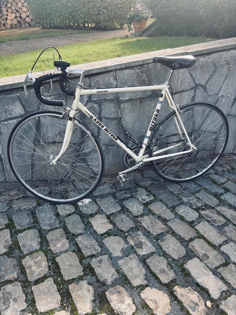 Fietsen, Ophalen, Minder dan 10 versnellingen, Gebruikt, Koga Miyata