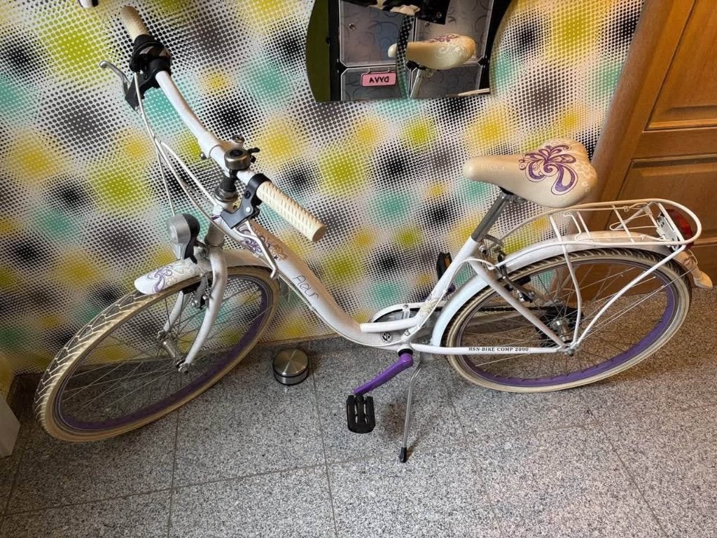 Vélo pour fille, Vélos & Vélomoteurs, Vitesses, Frein sur jante, RSN - Bike Comp 2000, 26 pouces ou plus