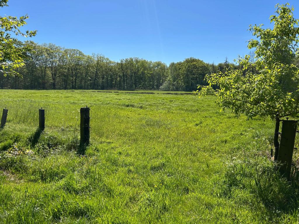 Weide van 1,33 ha te huur te Aalter, Animaux & Accessoires, Box & Pâturages, Pâturage, 4 chevaux ou poneys ou plus