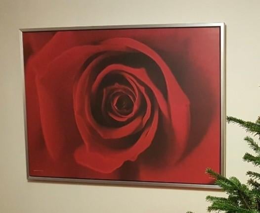 Schilderij rode roos!, Ophalen