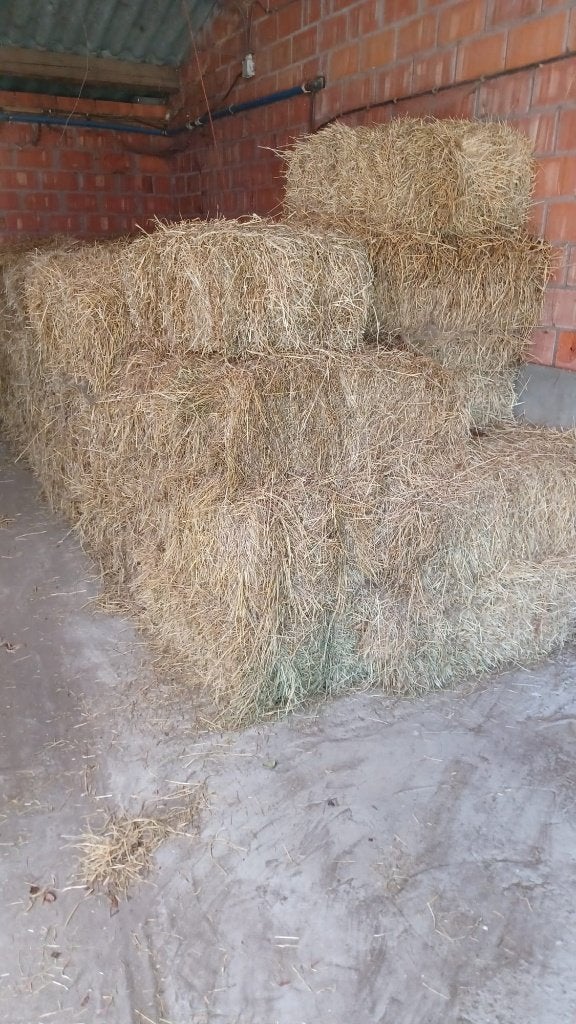 kleine pakken paarden hooi __ 3 € __ vezelrijk stikstofarm, Dieren en Toebehoren, Ophalen, Vee