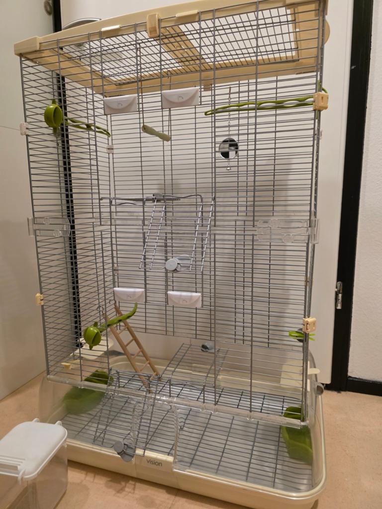 Mooie Vision vogelkooi. Stevige kwaliteit., Dieren en Toebehoren, Vogels | Hokken en Kooien, Ophalen, Vogelkooi