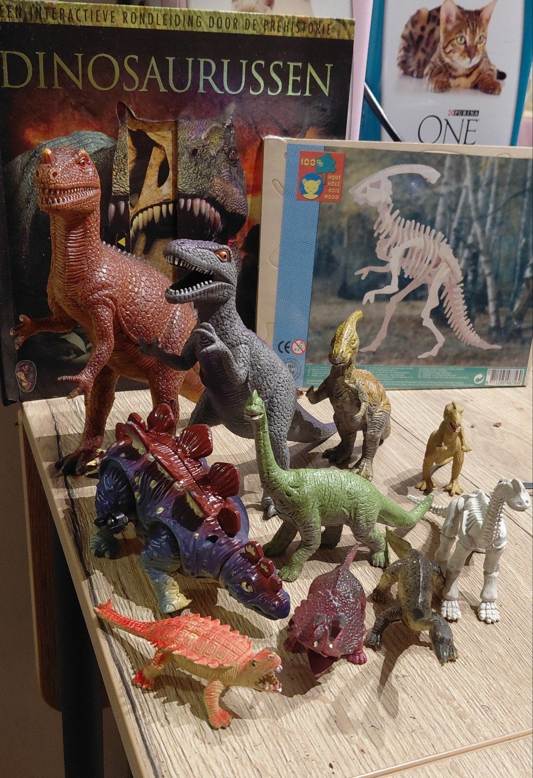 boek + vele dino figuren, Ophalen of Verzenden