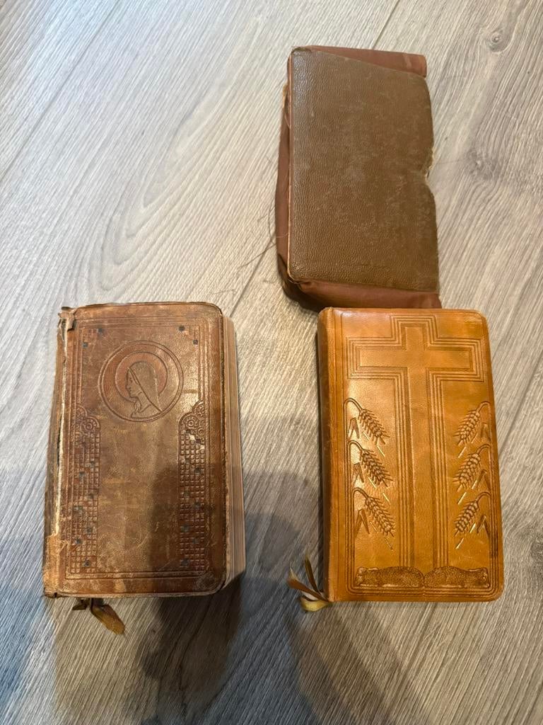 Mis en vesperboek, Ophalen, Gebruikt, Boek, Christendom | Katholiek
