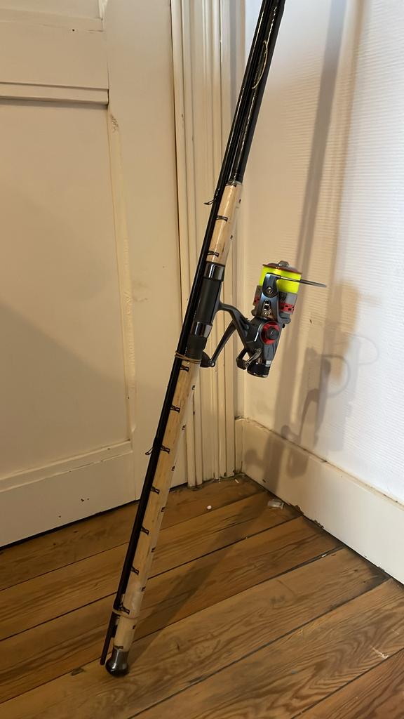 Canne a carpe spro, Enlèvement, Comme neuf, Moulinet