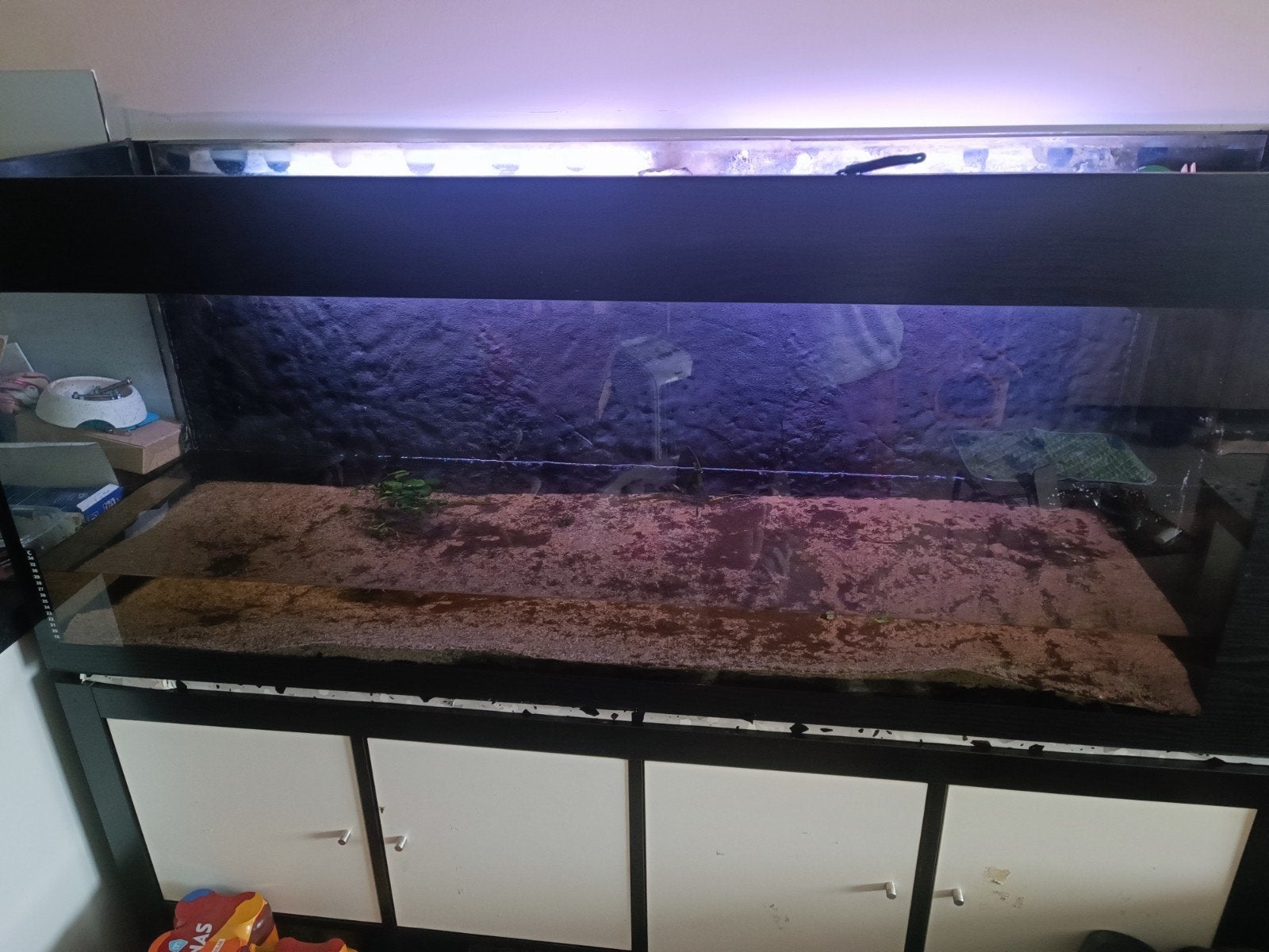 Aquarium 150cm, Dieren en Toebehoren, Vissen | Aquaria en Toebehoren, Ophalen, Filter