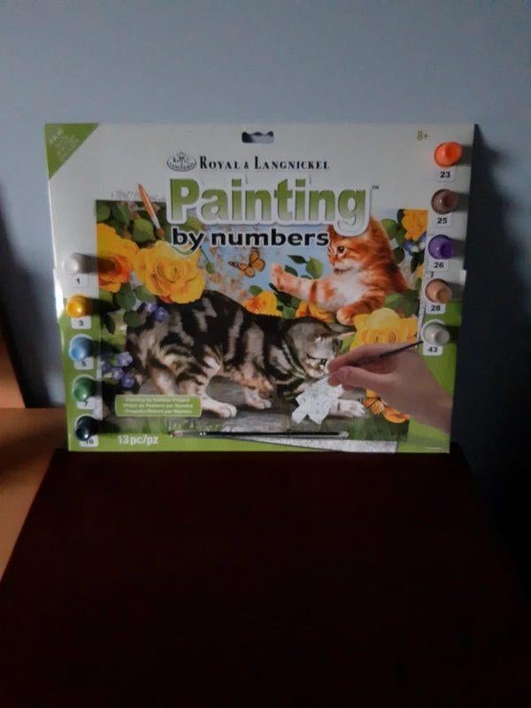 Schilderen op nummer, Hobby en Vrije tijd, Schilderen, Ophalen of Verzenden, Nieuw, Schilderen op nummer