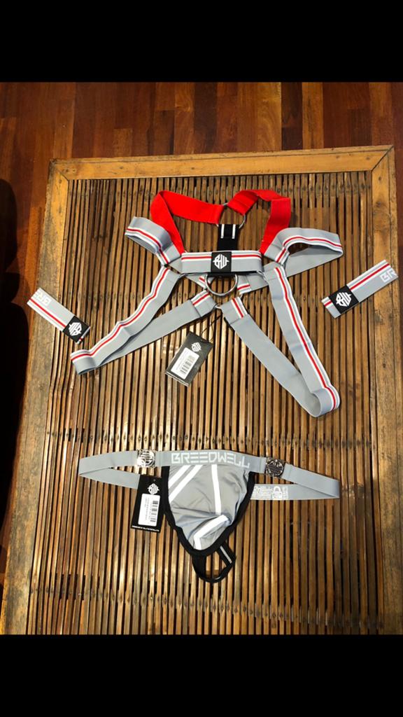 Combo Harness + thong + armband - xxl or xl, Enlèvement ou Envoi, Neuf