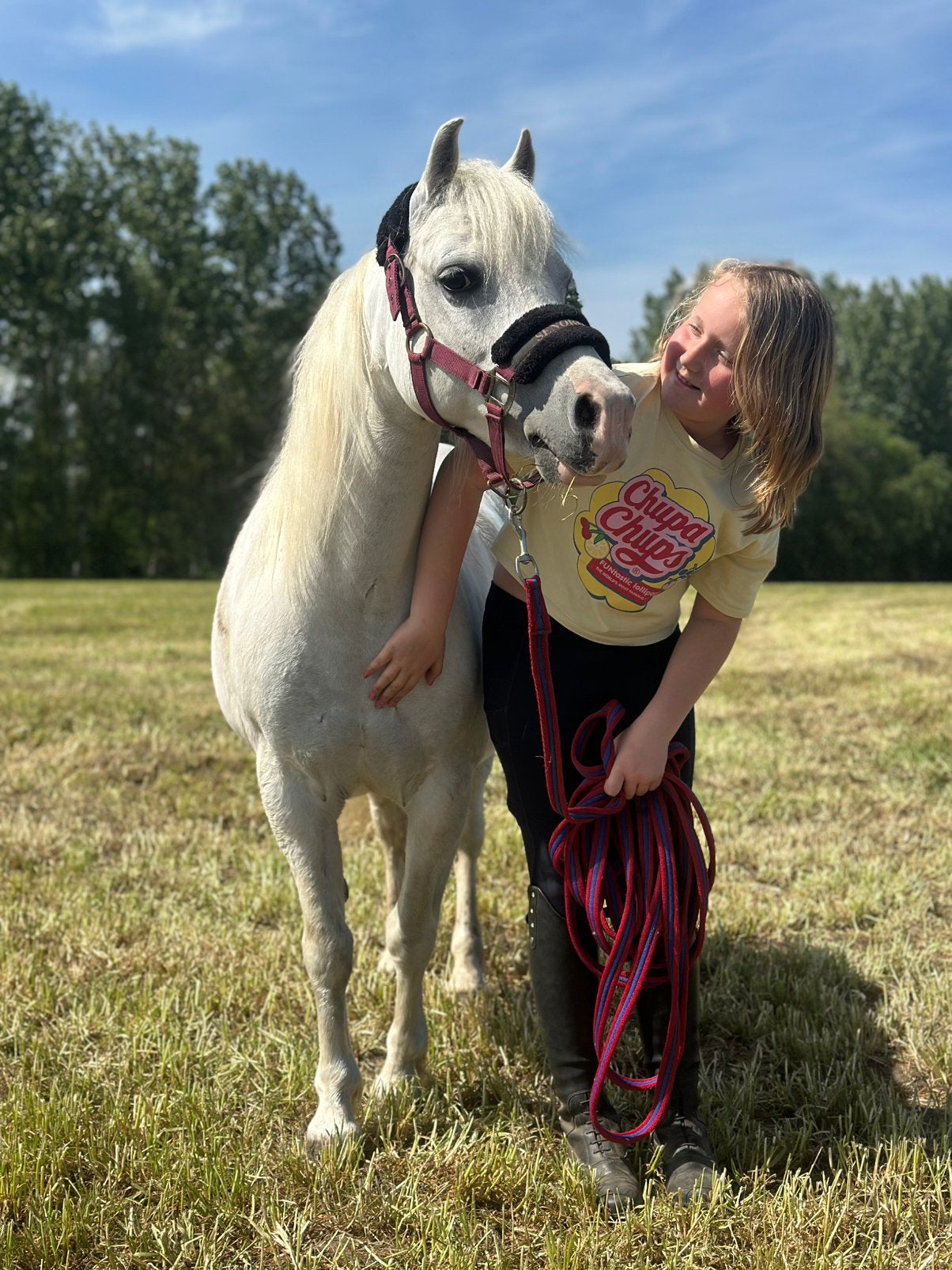 Pony, Dieren en Toebehoren, Merrie, Met stamboom, Zadelmak, B pony (1.17m tot 1.27m)