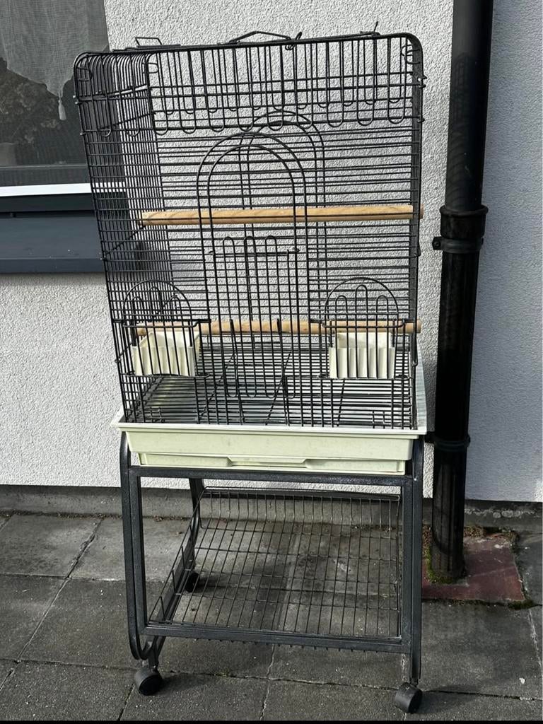 Cage oiseau, Animaux & Accessoires, Oiseaux | Cages & Volières, Enlèvement, Utilisé, Métal, Cage à oiseaux